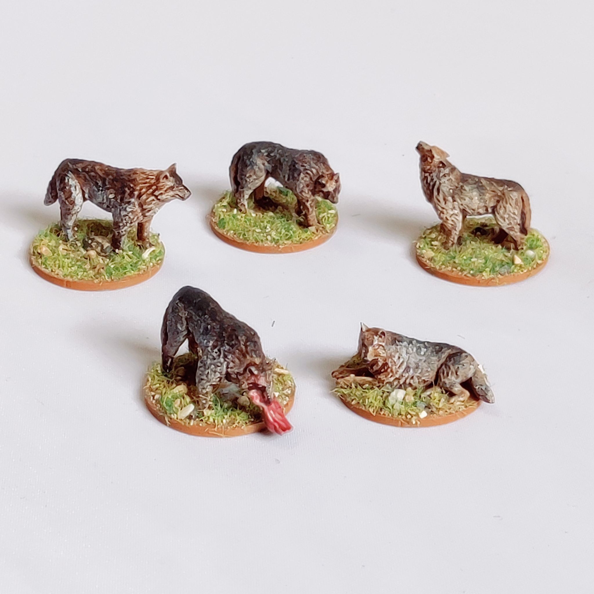 Wolves - Animal