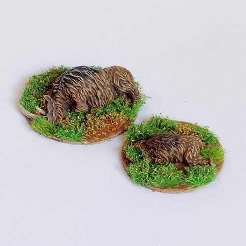 Resting Wooly Rhinos - Animal