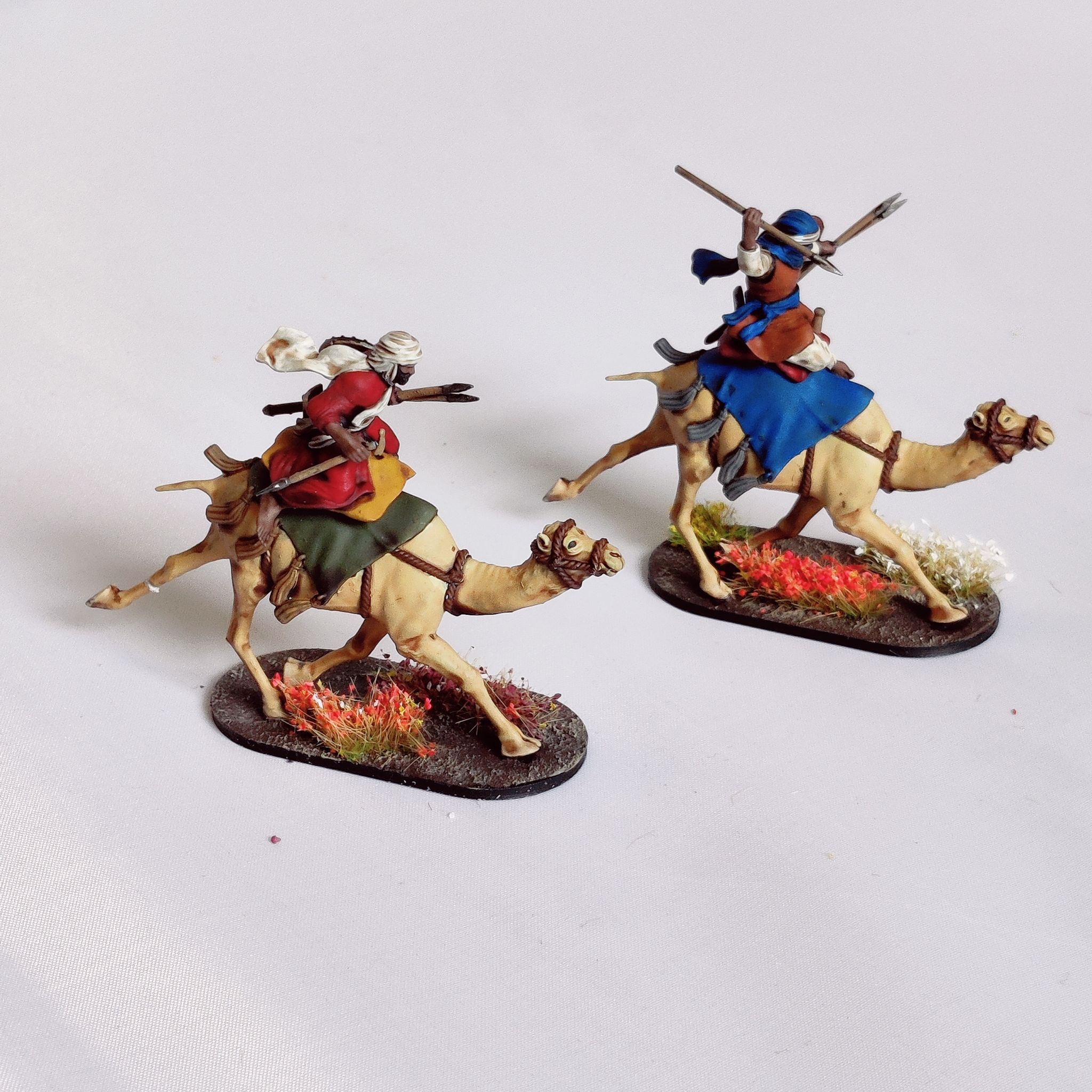 Berber Camelry - Image 7