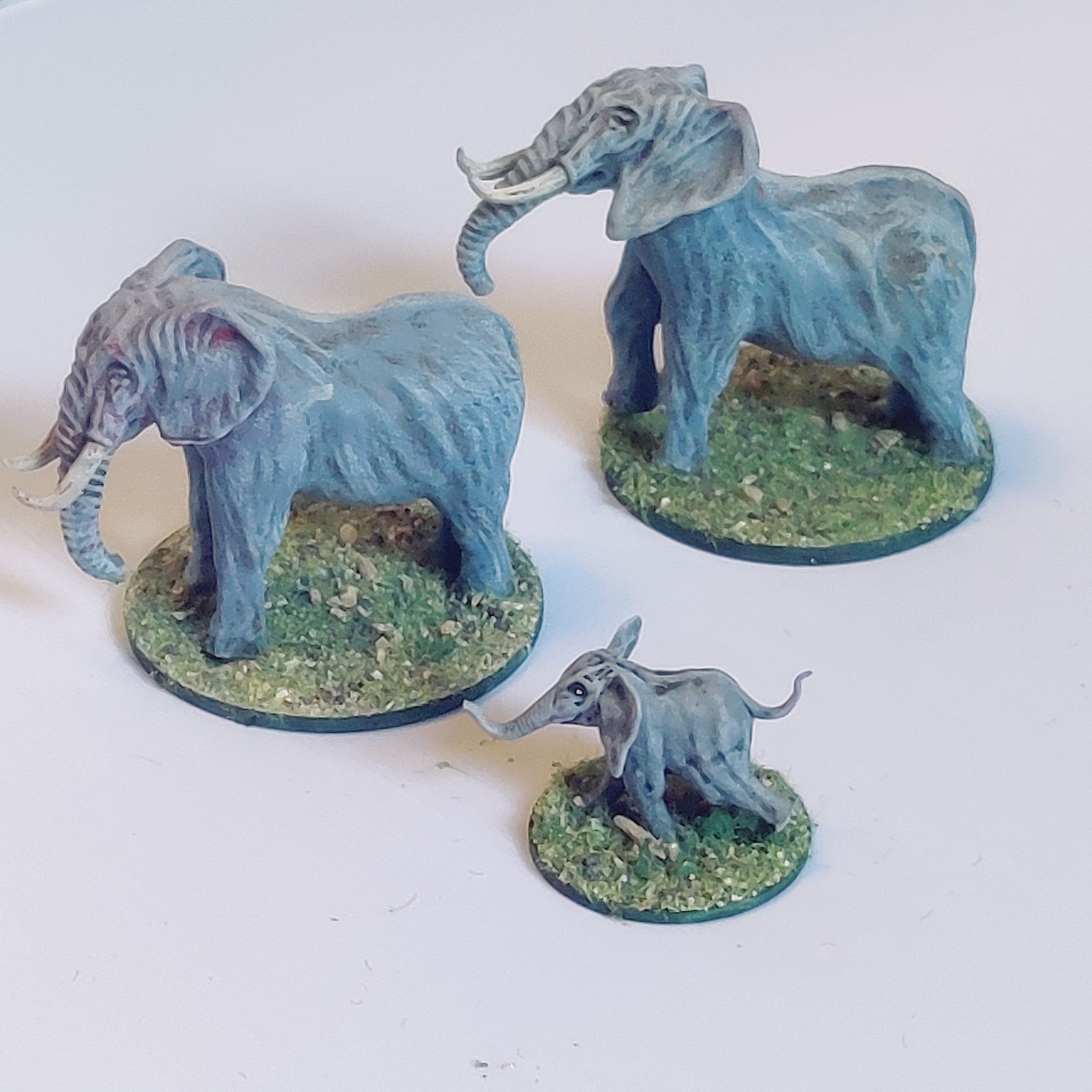 Elephants - Animal - Image 3