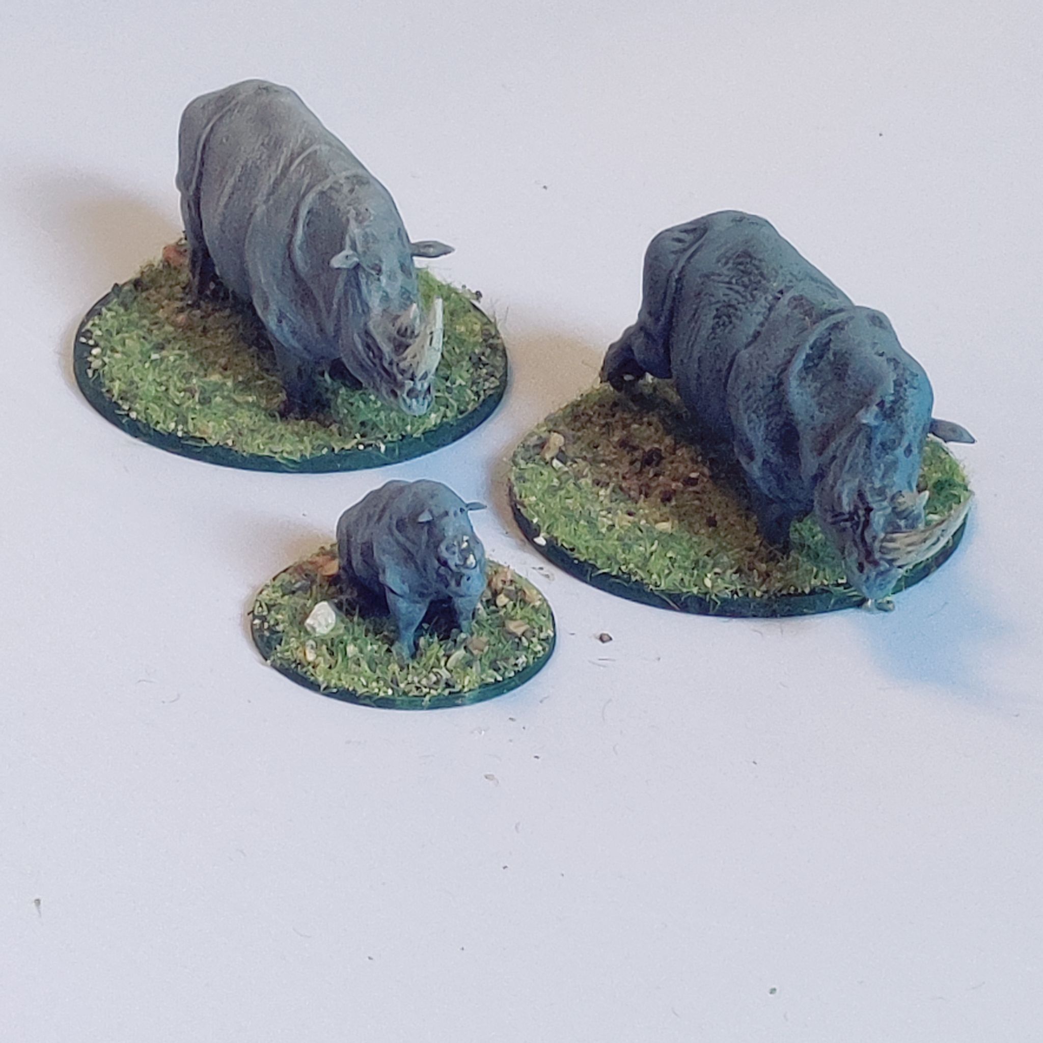 Rhinoceros - Animal - Image 3