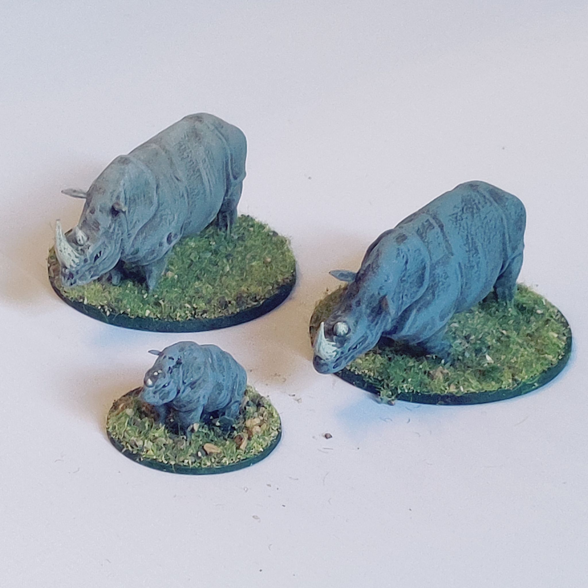 Rhinoceros - Animal