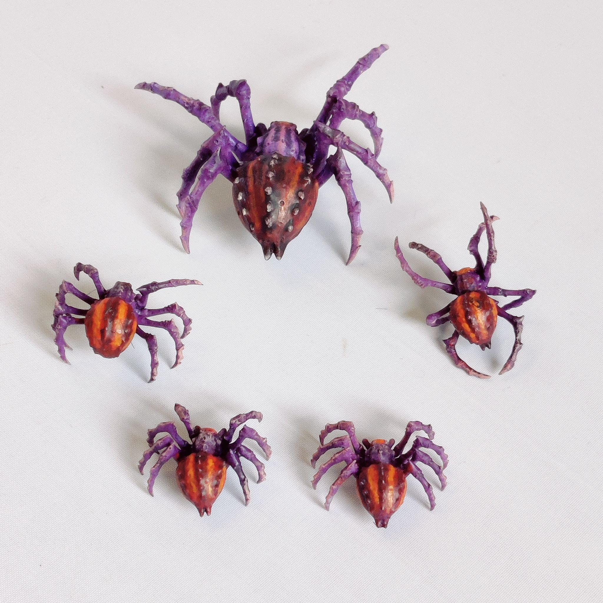 Spiders - Animal - Image 2