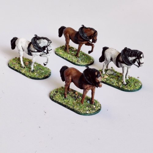 Draft Horses - Animal