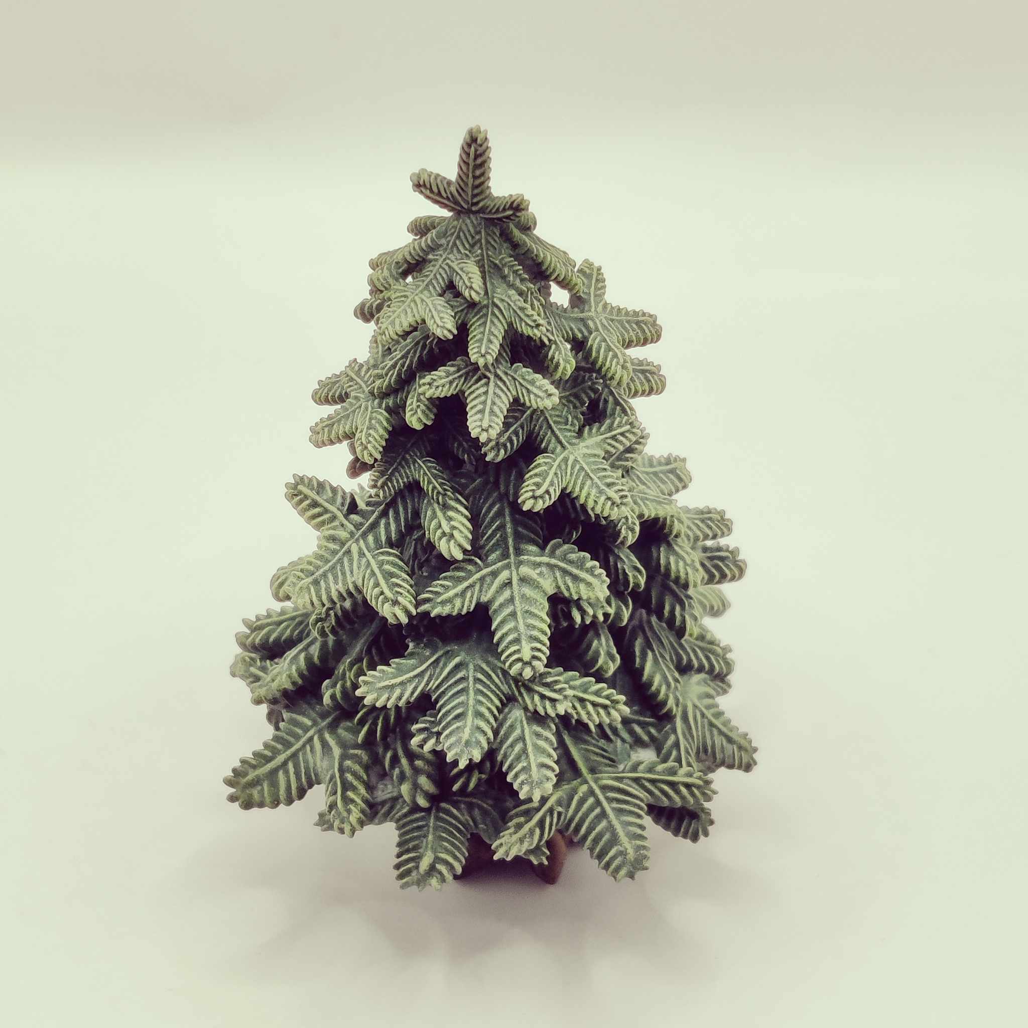 Tree 3